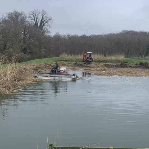 Intervention sur une lagune d’épuration, l’objectif était de couper les roseaux puis les ramasser pour limiter leur prolifération.