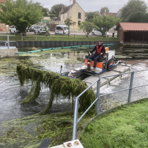 Voici un chantier de faucardage sur la vanne qui avait pour objectif de couper puis ramasser les algues du canal d’amenée à l’usine hydraulique.